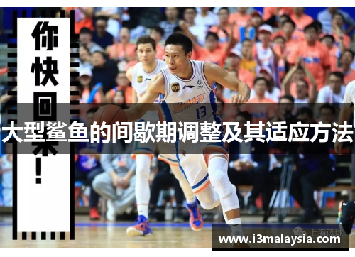 大型鲨鱼的间歇期调整及其适应方法
